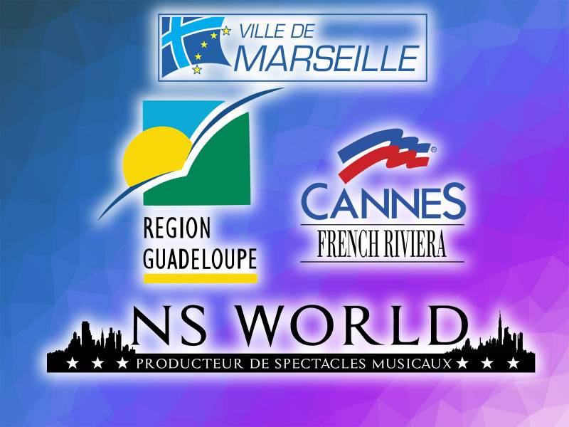 Des Carnavals hors du communs organisé et mis en place par NS World