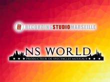 Notre zone d'activité pour ce service Organisation de parade lumineuse avec compagnie de danse et troupe d'artistes